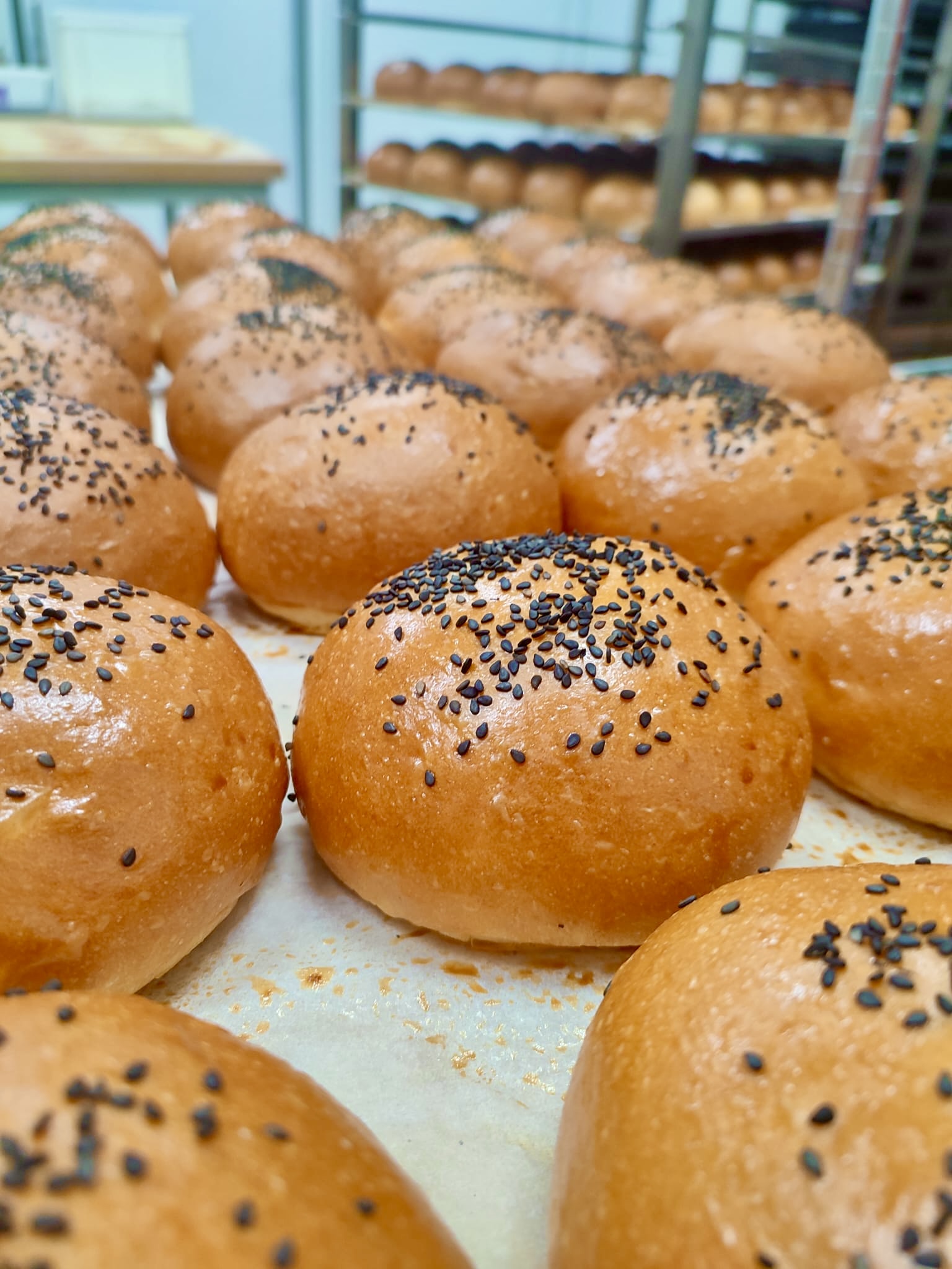 Burguer brioche